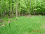 mount pisgah land