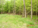 land for sale mount pisgah