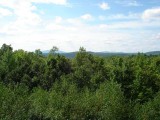 adirondack land for sale