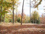 land for sale mount pisgah